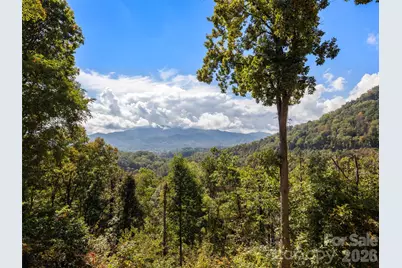 88 Brown Bear Way, Waynesville, NC 28786 - Photo 44