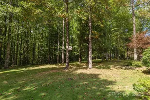 106 Chancery Ct, Flat Rock, NC 28731 - Photo 40