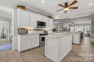 4320 Rosy Billed Ct, Indian Land, SC 29707 - Photo 6