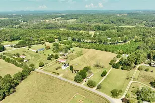 133 Bluegill Ln, Statesville, NC 28625 - Photo 8