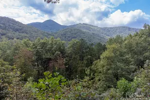 365 Duckback Trl, Whittier, NC 28789 - Photo 38