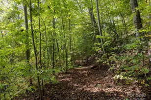 365 Duckback Trl, Whittier, NC 28789 - Photo 42