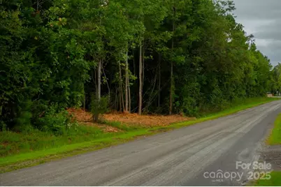 3 Erwin Temple Church Road, Woodleaf, NC 27054 - Photo 4