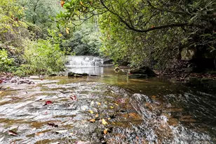 800 Williamson Creek Rd, Pisgah Forest, NC 28768 - Photo 44