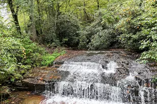 800 Williamson Creek Rd, Pisgah Forest, NC 28768 - Photo 46