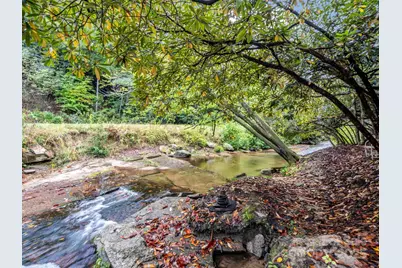 800 Williamson Creek Road, Pisgah Forest, NC 28768 - Photo 8