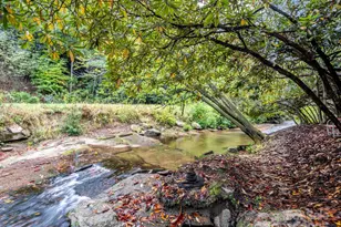 800 Williamson Creek Rd, Pisgah Forest, NC 28768 - Photo 8