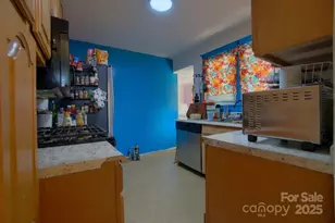 365 Old Haw Creek Rd, Asheville, NC 28805 - Photo 14