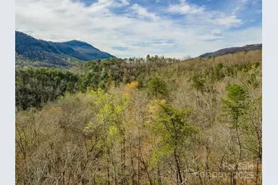 99999 Trillium Lane #7, Lake Lure, NC 28746 - Photo 4
