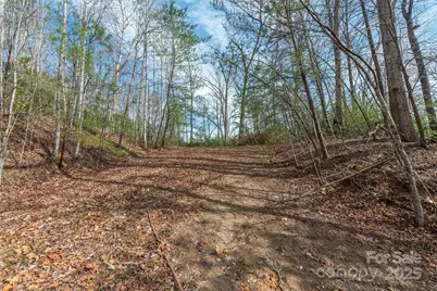 99999 Trillium Lane #7, Lake Lure, NC 28746 - Photo 10