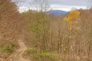 361 Boundary Trail, Maggie Valley, NC 28751 - Photo 2