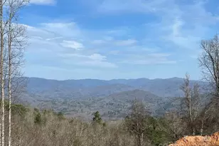 44 Bee Gum Ridge, Almond, NC 28702 - Photo 2