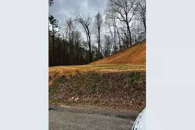 44 Bee Gum Ridge #44, Almond, NC 28702 - Photo 12