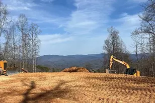 44 Bee Gum Ridge, Almond, NC 28702 - Photo 4