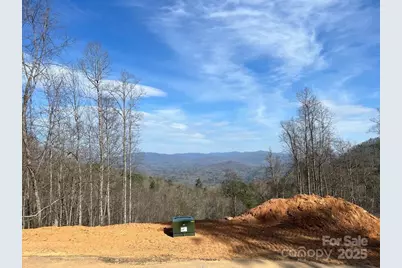 44 Bee Gum Ridge #44, Almond, NC 28702 - Photo 8