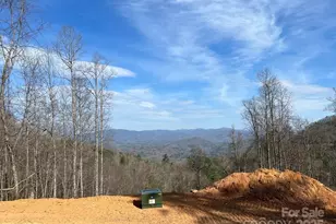 44 Bee Gum Ridge, Almond, NC 28702 - Photo 8