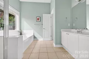 20314 Colony Point Ln, Cornelius, NC 28031 - Photo 20