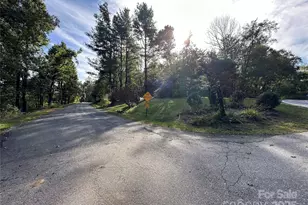 16 Osborn Knob Rd, Little Switzerland, NC 28749 - Photo 48