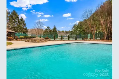 150 Deermouse Way #2601, Hendersonville, NC 28792 - Photo 48