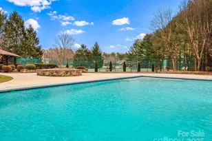 150 Deermouse Way, Hendersonville, NC 28792 - Photo 48