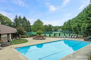 150 Deermouse Way, Hendersonville, NC 28792 - Photo 42