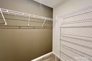 15906 Parkside crossing Dr, Charlotte, NC 28278 - Photo 24