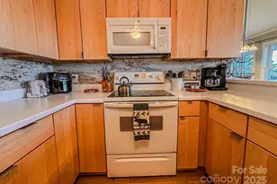 301 Pinnacle Inn Rd, Beech Mountain, NC 28604 - Photo 12