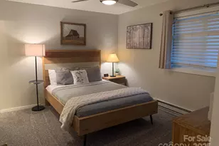 301 Pinnacle Inn Rd, Beech Mountain, NC 28604 - Photo 20