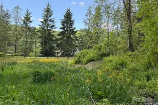 144 S Slope Loop, Banner Elk, NC 28604 - Photo 38