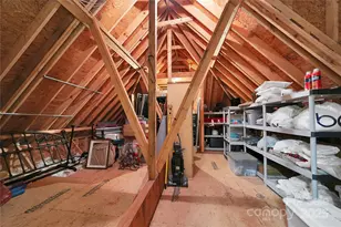 923 Ugugu Dr, Brevard, NC 28712 - Photo 46