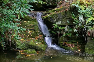 923 Ugugu Dr, Brevard, NC 28712 - Photo 4