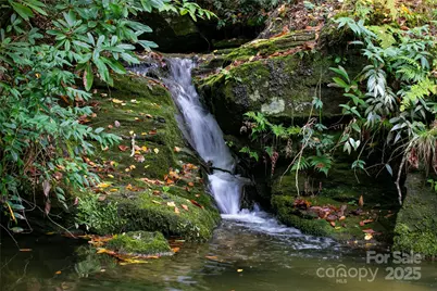 923 Ugugu Drive, Brevard, NC 28712 - Photo 2
