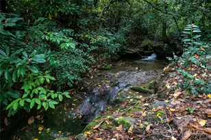 923 Ugugu Dr, Brevard, NC 28712 - Photo 10