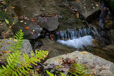 923 Ugugu Drive, Brevard, NC 28712 - Photo 8