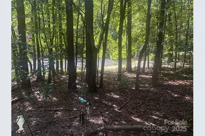 160 Overcreek Road, Mooresville, NC 28117 - Photo 44