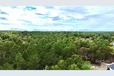 1171 Peach Orchard Road, Jefferson, SC 29718 - Photo 24