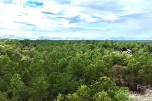 1171 Peach Orchard Rd, Jefferson, SC 29718 - Photo 24