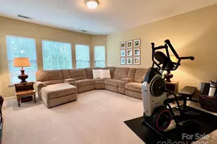 10826 Meg Meadow Dr, Mint Hill, NC 28227 - Photo 38