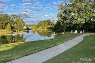 10826 Meg Meadow Dr, Mint Hill, NC 28227 - Photo 48