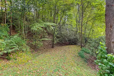 1465 Maple Springs Drive, Waynesville, NC 28785 - Photo 6