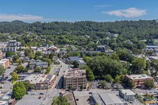 100 Coxe Ave, Asheville, NC 28801 - Photo 46
