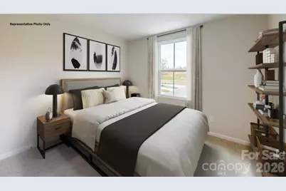 305 Laney Farms Drive, Pageland, SC 29728 - Photo 8