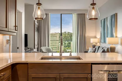 7 Patton Avenue #1005, Asheville, NC 28801 - Photo 16