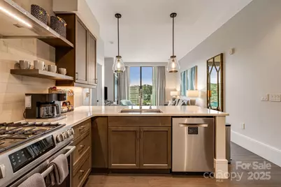 7 Patton Avenue #1005, Asheville, NC 28801 - Photo 14