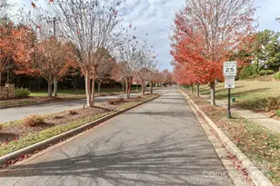 111 Beverly Chase Ln, Mooresville, NC 28117 - Photo 30