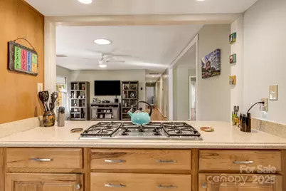 226 Wildflower Road, Asheville, NC 28804 - Photo 12