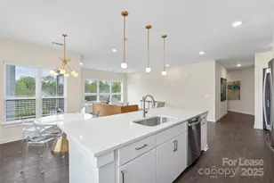 3630 N Davidson St, Charlotte, NC 28205 - Photo 8