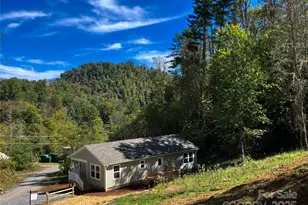 237 Hickory Nut Ridge Rd, Burnsville, NC 28714 - Photo 42