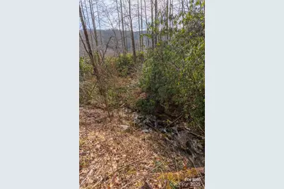2220 (Tract 1) Tilley Creek Road, Cullowhee, NC 28723 - Photo 8