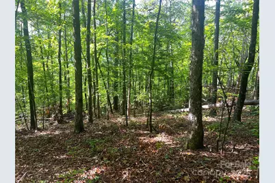 Lot 14R Arrowhead Ridge #14 Revised, Brevard, NC 28712 - Photo 8
